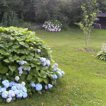 Appartement Haus Ramusch